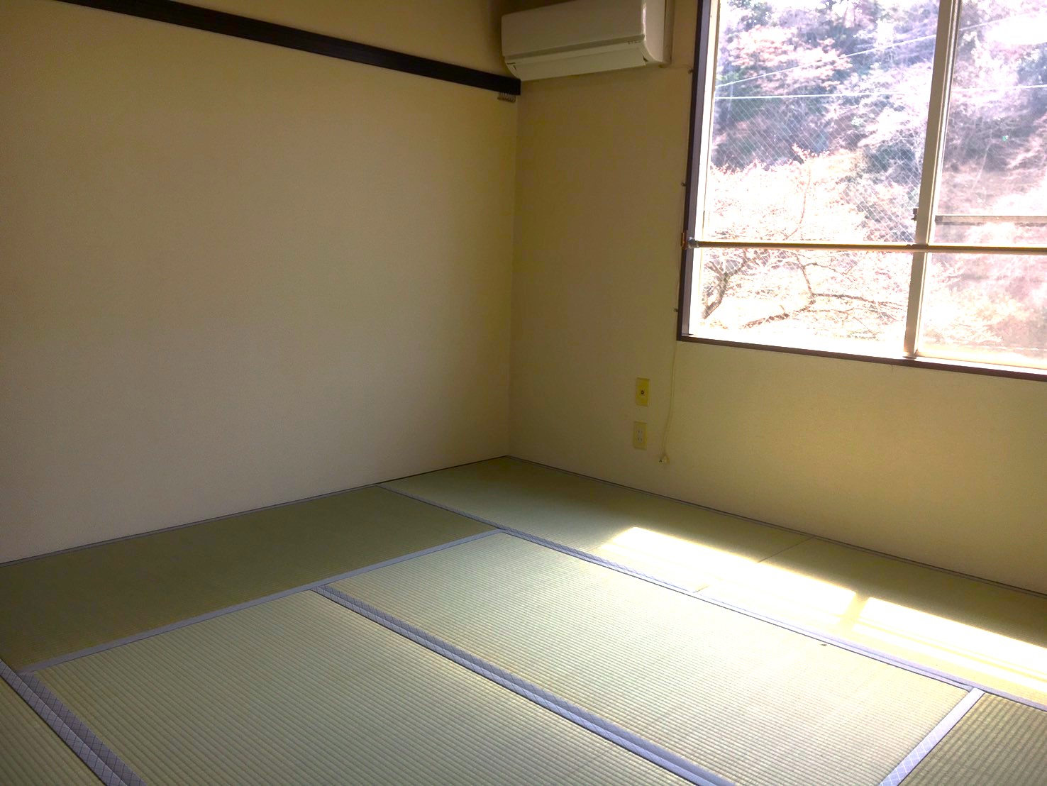 パセリハウス　202号室